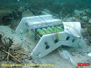 KENT Systems Couplings at the bottom of the ocean
