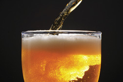 KENT Systems in Food and Beverage applications