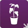 KENT Systems  Products For Hydroponics Applications