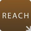 KENT Systems  REACH Statement